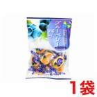 �ݻ����ڲ� �֥롼�٥꡼�ѥ� 150g��1��