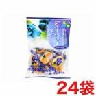 �ݻ����ڲ� �֥롼�٥꡼�ѥ� 150g��24��
