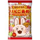 ꥹ ۤǤ󤴤 եȥǥ 1010