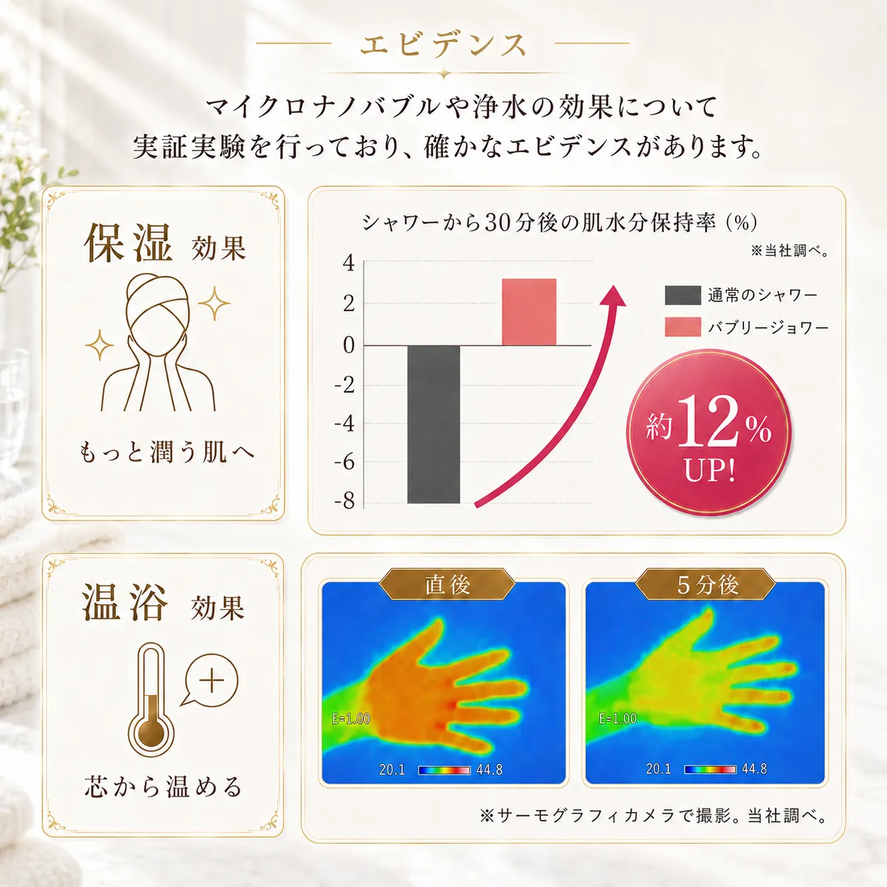 バブリージョワー3.0 クロム｜浄水・ナノバブル・3水流のシャワー