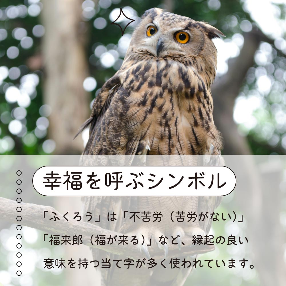 フクロウが縁起物とされる理由