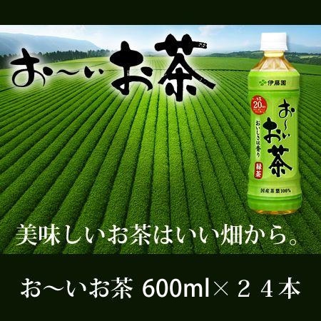 お～いお茶　緑茶　600ml×24本入り