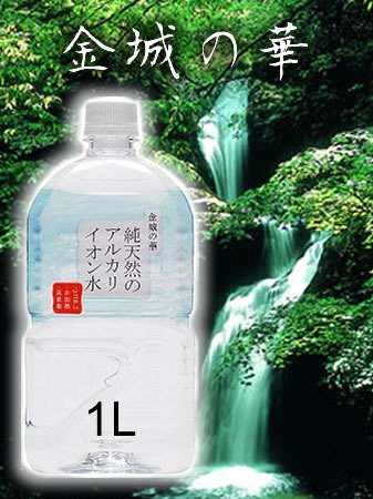 金城の華　1Lx12本 かなぎのはな