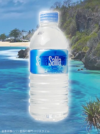 神々の棲む島　バリ島の水　Salila(サリラ)　500mlx24本