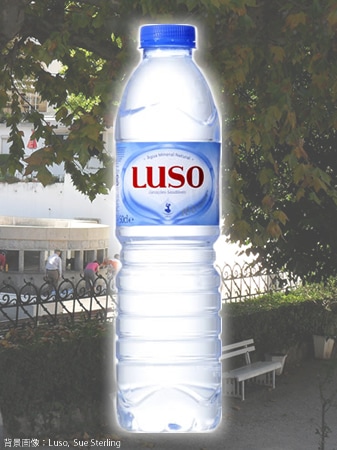 ルソ Luso 500mL x 24本入