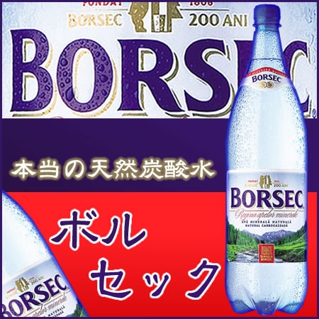ボルセック Borsec　1.5Lx12本入り ペットボトル
