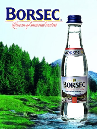ボルセック Borsec 天然炭酸 250mlグラスボトル12本入り