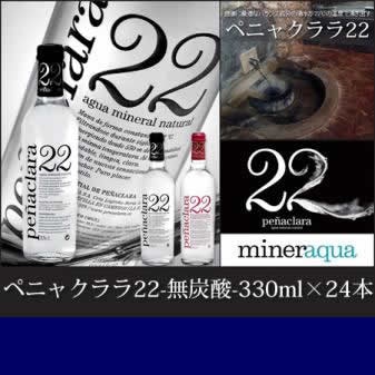 ペニャクララ22/Penaclara　シンガス(無炭酸水)330mlx24本