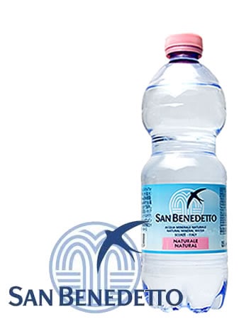 サンベネデット San Benedetto　無炭酸　ペットボトル 500mlx24