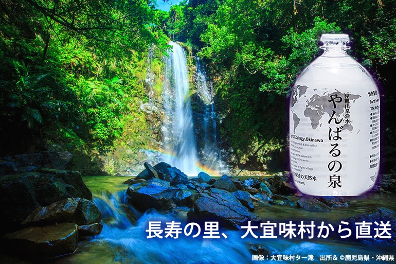 やんばるの泉【長寿の村から直送】320mlエコペットボトル24本 | 沖縄