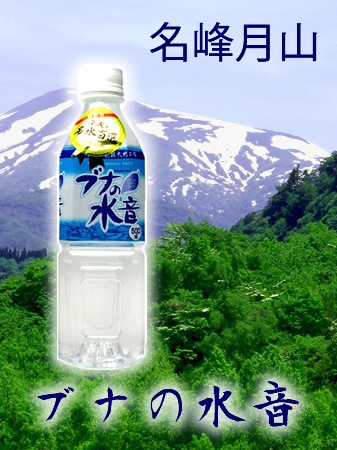 月山名水ブナの水音 500mlx24本入り | 山形 | 水広場