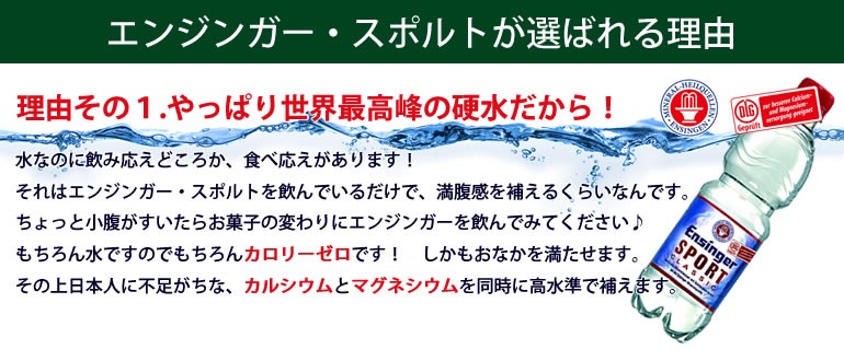 エンジンガー・スポルト・クラシック微炭酸 1Lx12本入り 正規品 【北海道・九州を除き送料無料】