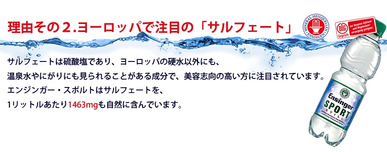 エンジンガー・スポルト・クラシック微炭酸 1Lx12本入り 正規品 【北海道・九州を除き送料無料】