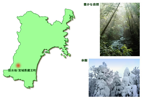 蔵王湧水 (樹氷の恵み) 2Lx12本入り