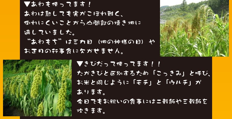 【産直】 龍泉洞のじっ茶ばっ茶 500ml×24本 【沖縄県、島嶼部は除き送料無料】