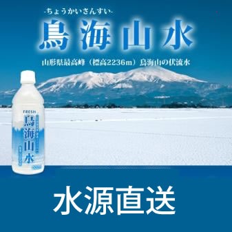 鳥海山水500ml×24本