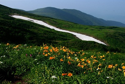 鳥海山水500ml×24本