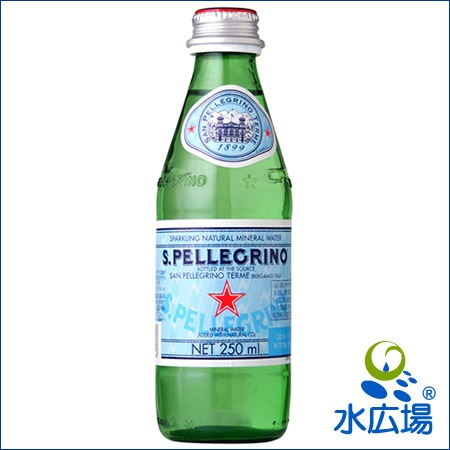 サンペレグリノ グラスボトル 250mLx24本 【正規輸入品】