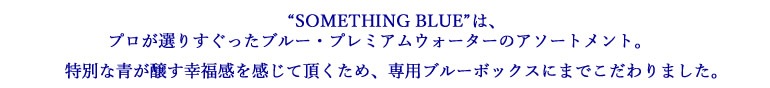 ～SOMETHING BLUE～ ブルーボトル・プレミアムウォーター詰め合わせ(12本入)