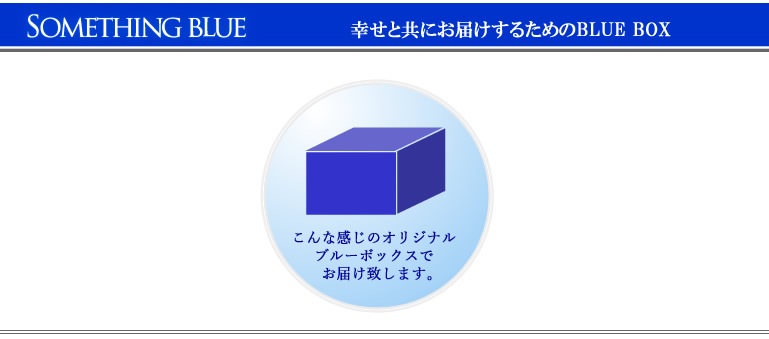 ～SOMETHING BLUE～ ブルーボトル・プレミアムウォーター詰め合わせ(12本入)