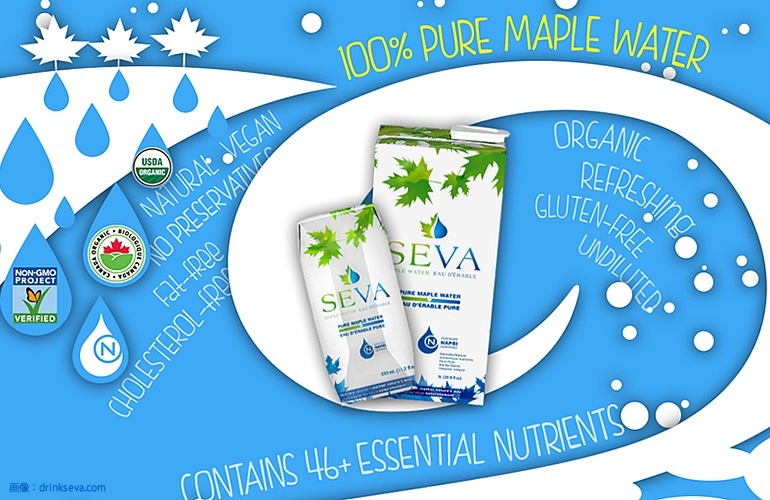 SEVA　有機 メープル ウォーター　330ml x24本