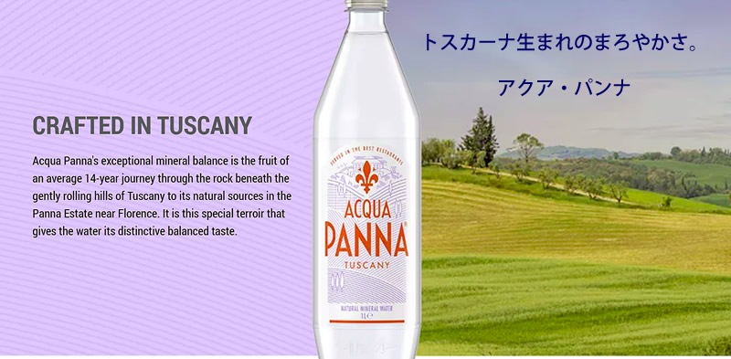 アクア　パンナ　(瓶)　500mlx24本　【正規輸入品】