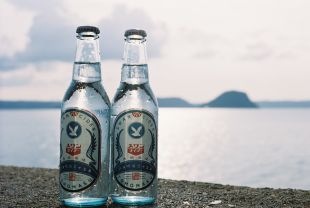 スワンサイダー復刻版330mlx24本 代引き不可
