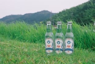 スワンサイダー復刻版330mlx24本 代引き不可