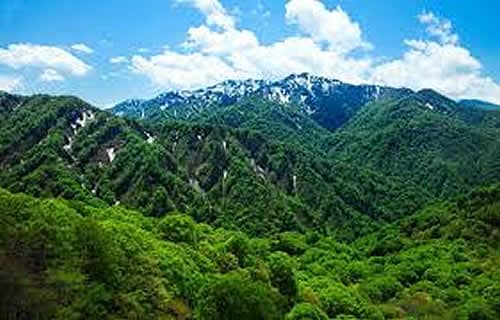 予約限定品 【2027 寒の水】白神山地の水2Lx12本 2027年寒の内に採水、製造後、順次発送