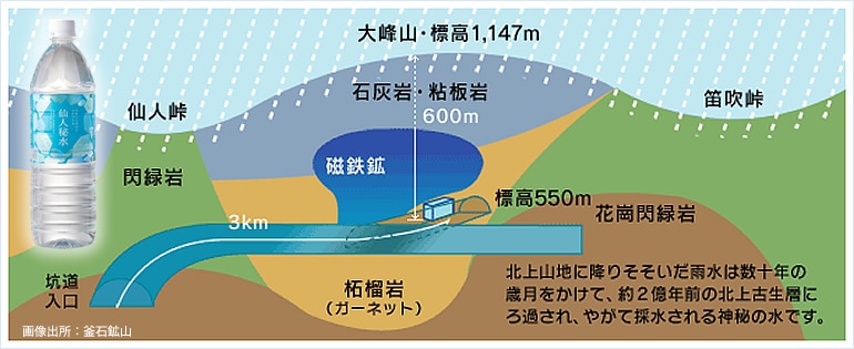 仙人秘水 1.1Lx12本【定期購入】