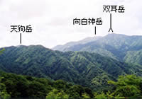 白神山地の水　20L バッグインボックス