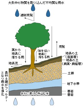 白神山地の水　20L バッグインボックス