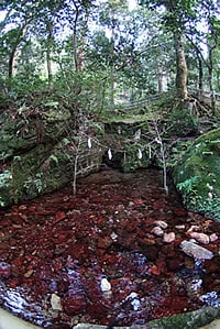 わかさ瓜割の水 500mlx24本