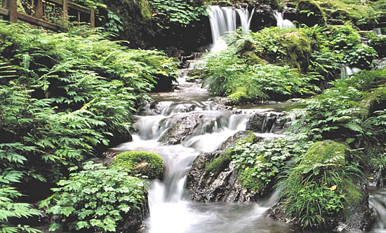 わかさ瓜割の水　2Lx6本