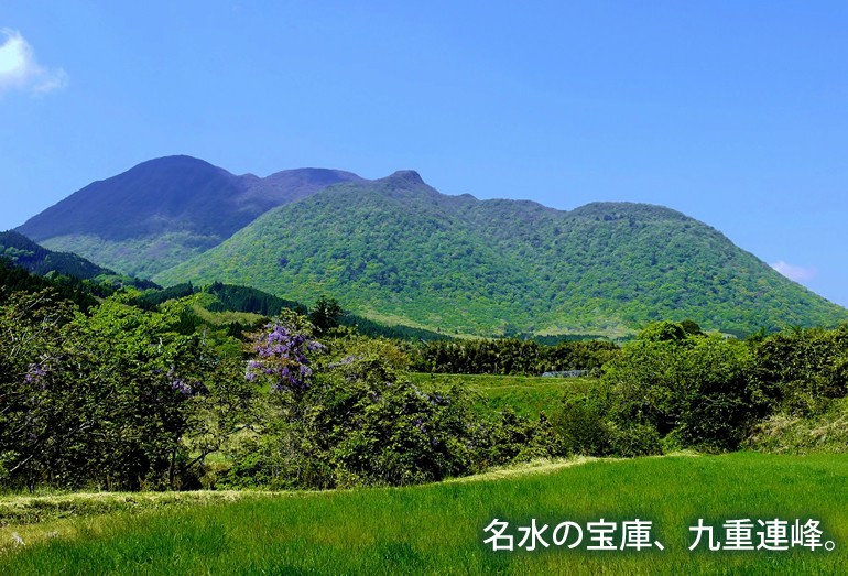 天然微炭酸水YOIYANA(よいやな) 500mlx24本 貴重な国産天然炭酸水