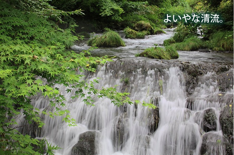 天然微炭酸水YOIYANA(よいやな) 500mlx24本 貴重な国産天然炭酸水
