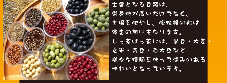 龍泉洞のじっ茶ばっ茶【定期購入】500ml×24本【産直】