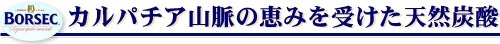 ボルセック/Borsec(瓶) 750mLx12本セット 水の女王ボルセック