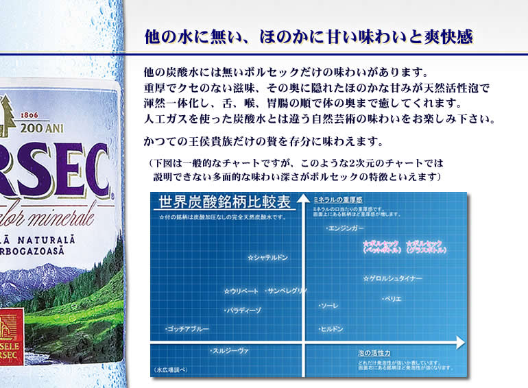 ボルセック 商品説明