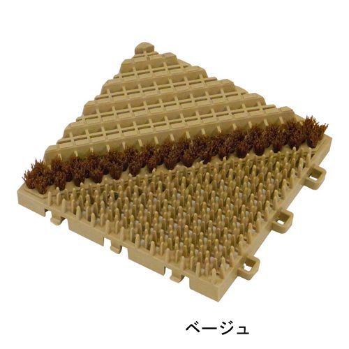 �֥饷�ޥå�A�ʥ������ݻ��ӥˡ���������̳�ѡ�