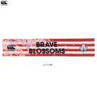 Canterburyʥ󥿥٥꡼˥ѥ󥿥ޥե顼 JAPAN TOWEL MUFFLERAA03783˥饰ӡ 饬 ݡ ȥ졼˥   ɽ  ǰ