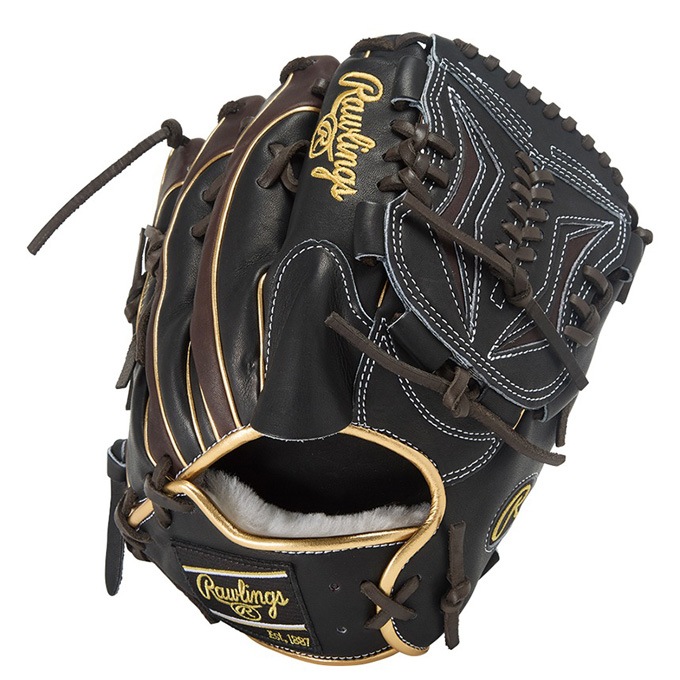 Rawlings（ローリングス）軟式用グラブ HOH PRO EXCEL Wizard