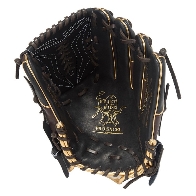 左投げのみ】Rawlings（ローリングス）軟式用グラブ HOH PRO EXCEL