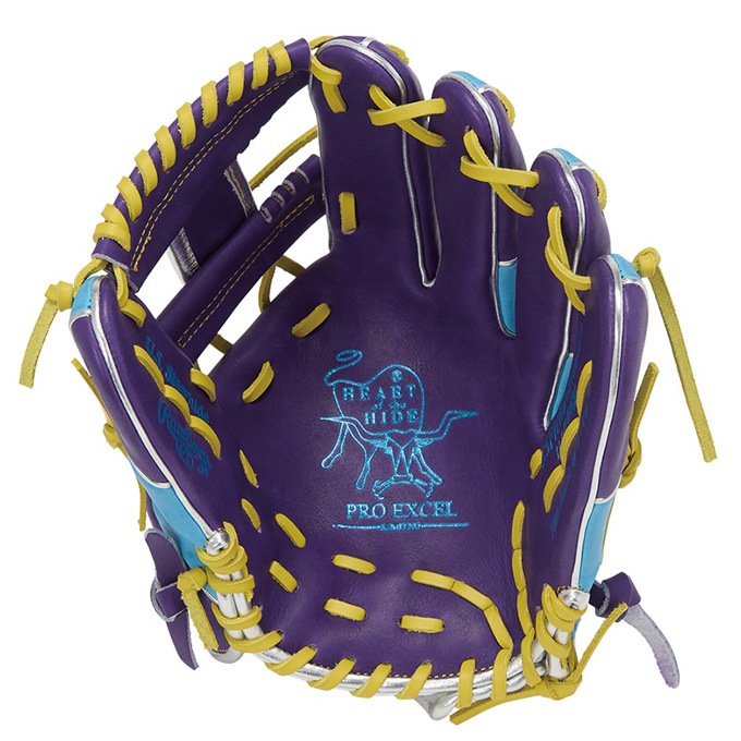 Rawlings（ローリングス）軟式用グラブ HOH PRO EXCEL Wizard