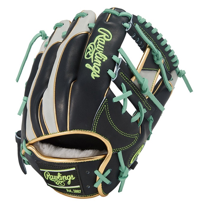 Rawlings（ローリングス）軟式用グラブ HOH PRO EXCEL Wizard