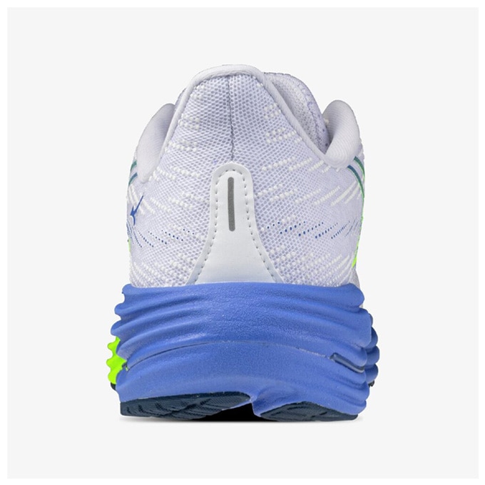 MIZUNO（ミズノ）WAVE RIDER 29 ウエーブライダー 29（J1GD2503