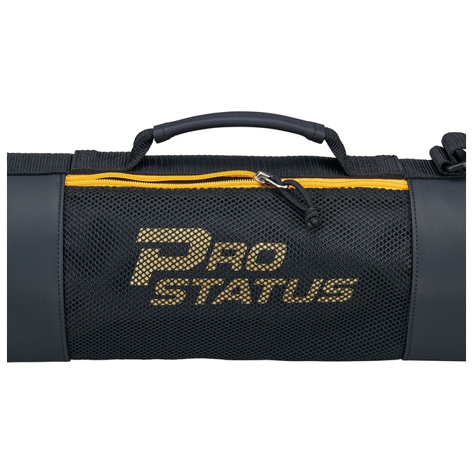ZETT（ゼット）限定 プロステイタス バットケース2本入（BCP7207
