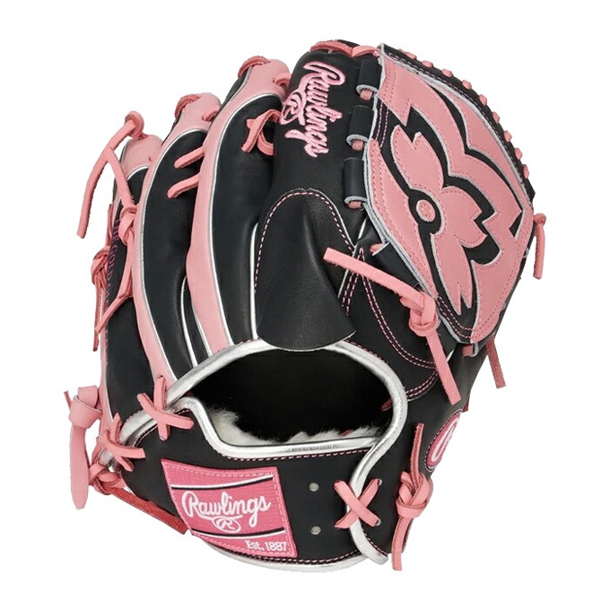 Rawlings（ローリングス）軟式用グラブ HOH PRO EXCEL Wizard