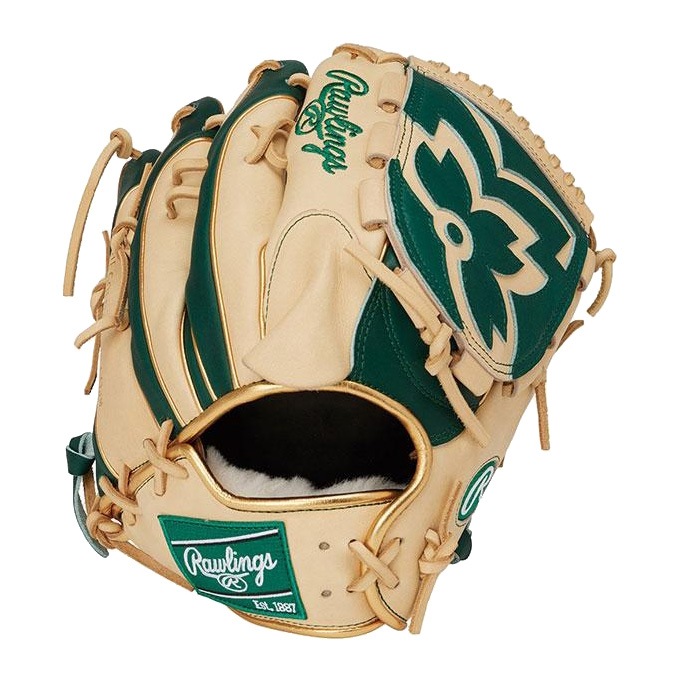 Rawlings（ローリングス）軟式用グラブ HOH PRO EXCEL Wizard