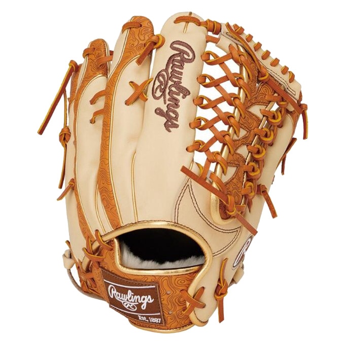 Rawlings（ローリングス）軟式用グラブ HOH PRO EXCEL Wizard